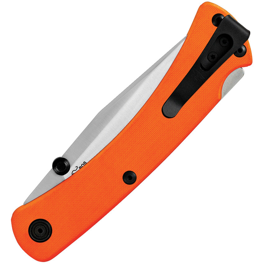 Buck 110 Slim Pro TRX Lockback