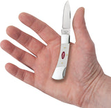 Case Cutlery Lockback White SparXX