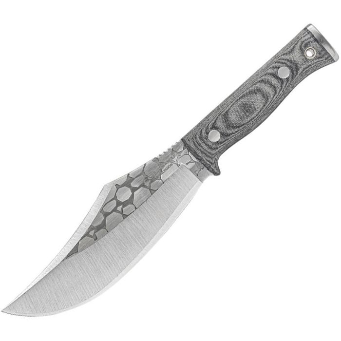 Condor Gryphus Bowie