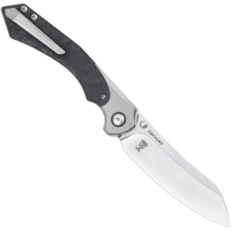 Kizer Cutlery Clairvoyant Button Lock S35VN