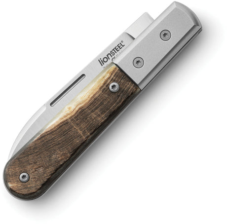 LionSTEEL Barlow Roundhead Ram