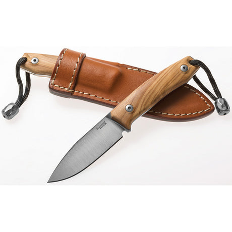 LionSTEEL M1 Fixed Blade Olive Wood